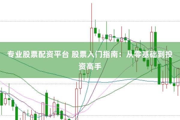 专业股票配资平台 股票入门指南：从零基础到投资高手