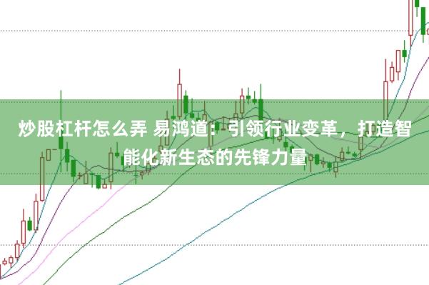 炒股杠杆怎么弄 易鸿道：引领行业变革，打造智能化新生态的先锋力量