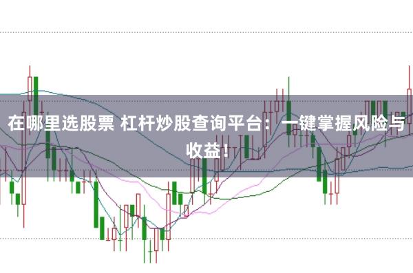 在哪里选股票 杠杆炒股查询平台：一键掌握风险与收益！