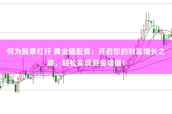 何为股票杠杆 黄金猫配资：开启您的财富增长之旅，轻松实现资金增值！