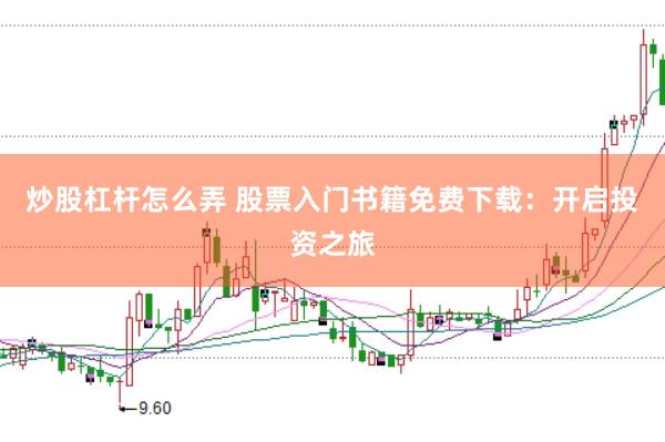 炒股杠杆怎么弄 股票入门书籍免费下载：开启投资之旅