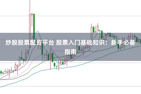炒股股票配资平台 股票入门基础知识：新手必备指南