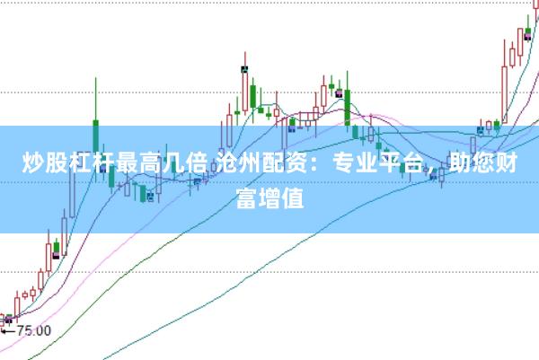 炒股杠杆最高几倍 沧州配资：专业平台，助您财富增值