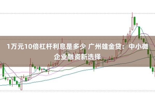 1万元10倍杠杆利息是多少 广州雄金贷：中小微企业融资新选择