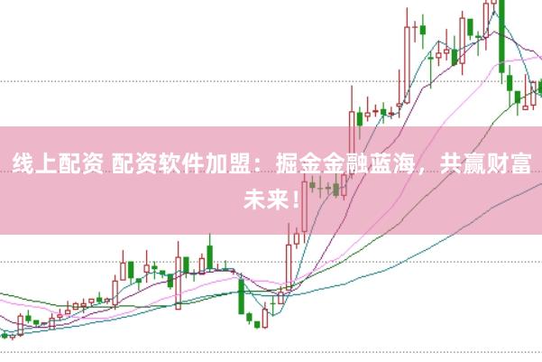 线上配资 配资软件加盟：掘金金融蓝海，共赢财富未来！