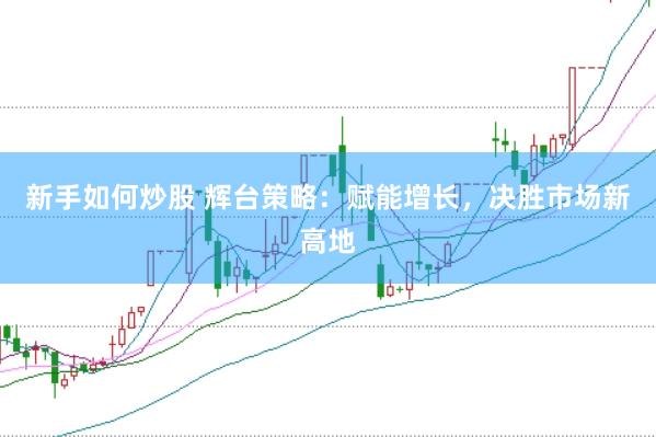 新手如何炒股 辉台策略：赋能增长，决胜市场新高地