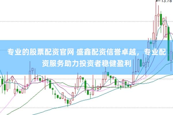 专业的股票配资官网 盛鑫配资信誉卓越，专业配资服务助力投资者稳健盈利