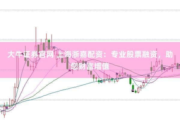 大牛证券官网 上海浙嘉配资：专业股票融资，助您财富增值