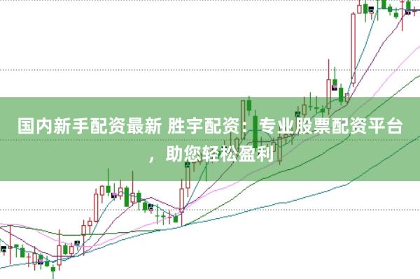 国内新手配资最新 胜宇配资：专业股票配资平台，助您轻松盈利
