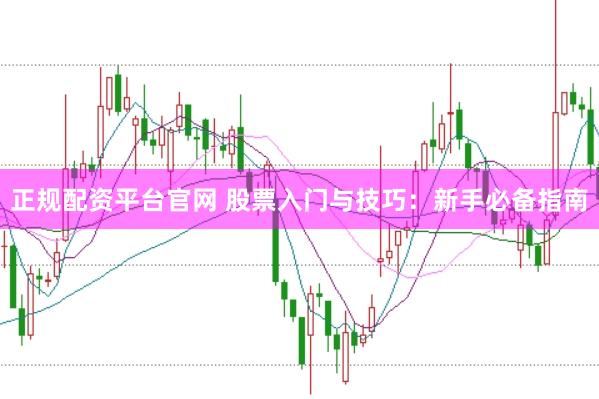 正规配资平台官网 股票入门与技巧：新手必备指南