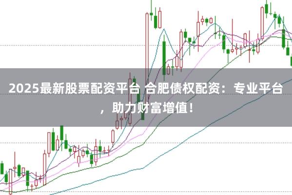 2025最新股票配资平台 合肥债权配资：专业平台，助力财富增值！