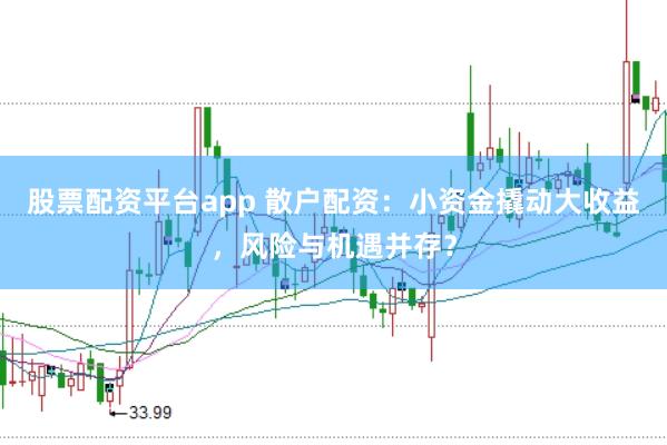 股票配资平台app 散户配资：小资金撬动大收益，风险与机遇并存？