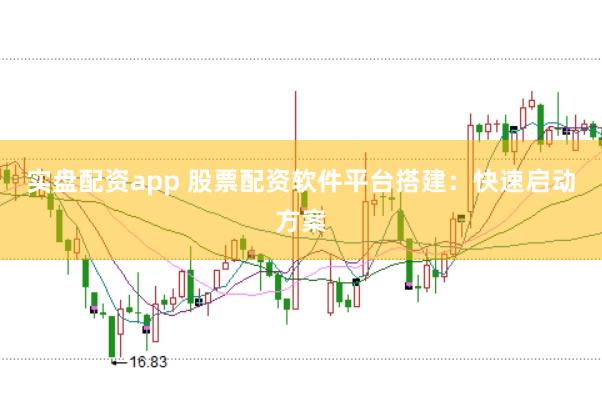 实盘配资app 股票配资软件平台搭建：快速启动方案