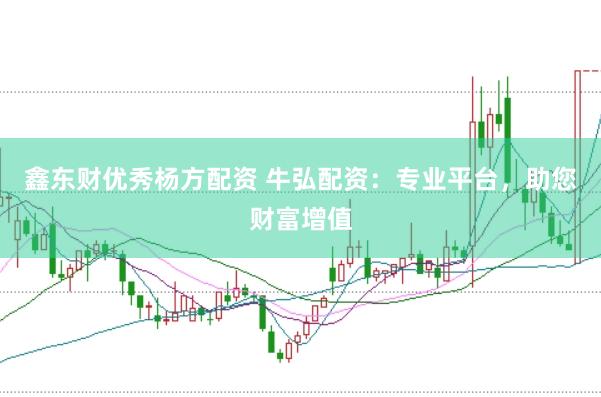 鑫东财优秀杨方配资 牛弘配资：专业平台，助您财富增值