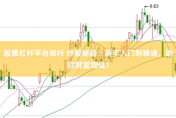 股票杠杆平台排行 炒股秘籍：新手入门到精通，助你财富增值！