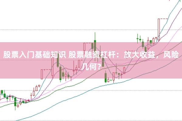 股票入门基础知识 股票融资杠杆：放大收益，风险几何？