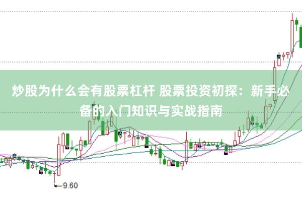 炒股为什么会有股票杠杆 股票投资初探：新手必备的入门知识与实战指南