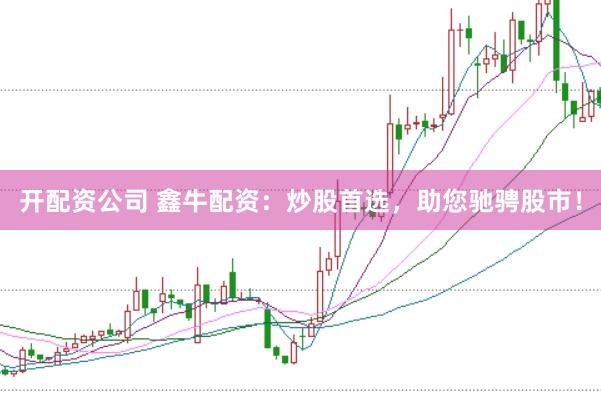 开配资公司 鑫牛配资：炒股首选，助您驰骋股市！